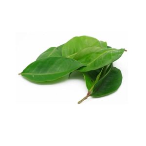 Bay Leaf / Daun Salam