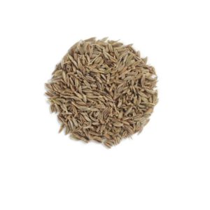 Cumin Seed / Jintan 25g