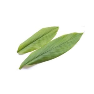Daun Kunyit