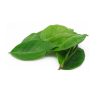 Frozen Bay Leaf / Daun Salam 50g