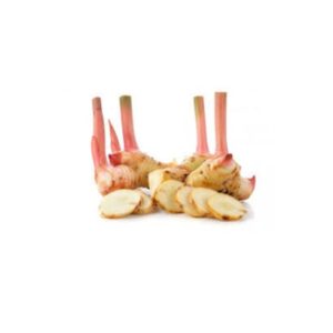 Galangal / Lengkuas 100g