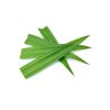 Pandan 40g